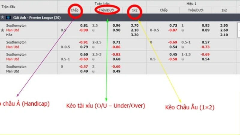 Giới thiệu đầy đủ về tỷ lệ cá cược châu Âu