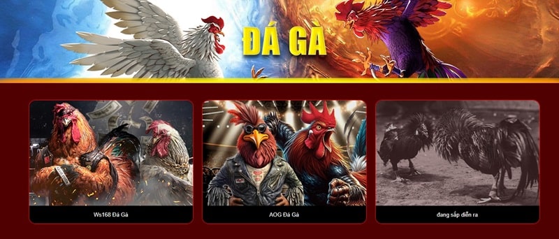 Sân chơi đá gà 33win đặc sắc dành cho kê thủ